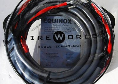 Wireworld Equinox 6